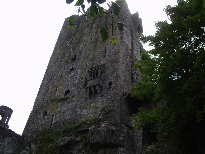blarneycastle4.jpg