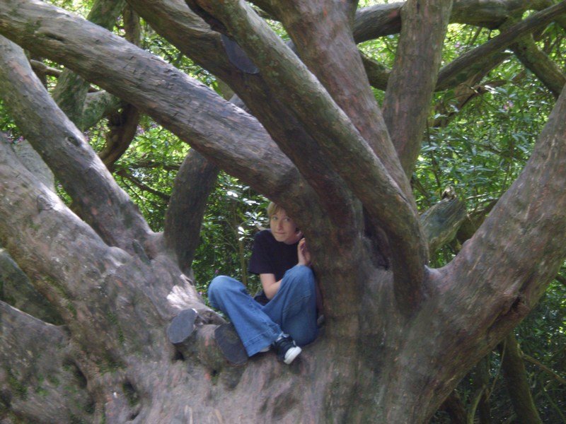 cadyingardensatblarneycastle2.jpg