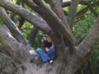 cadyingardensatblarneycastle2_small.jpg