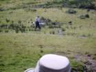 sheepfarmerwithhisdogs_small.jpg