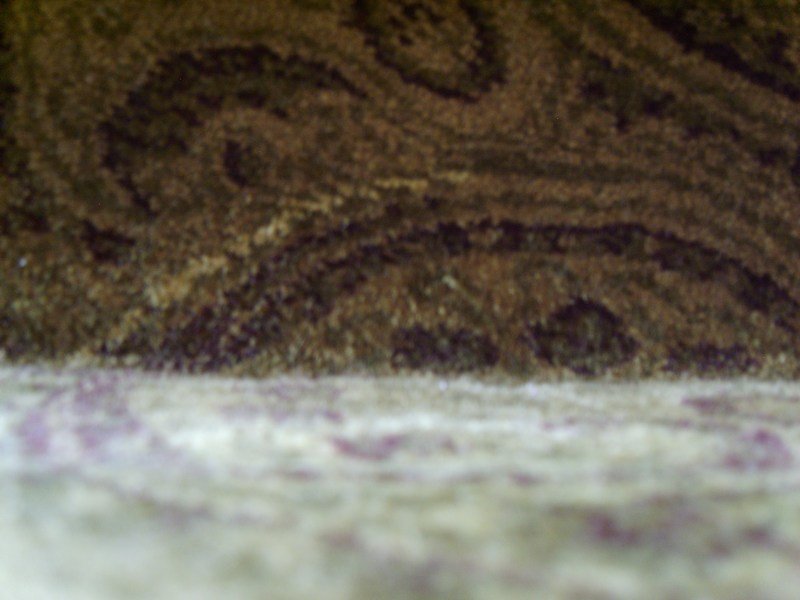 closeupofpaisleycarpet.jpg