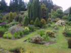gardensatminardcastle2_small.jpg