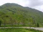 morescenery_small.jpg