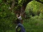 tireswing_small.jpg